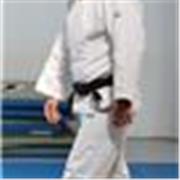 Professeur d'arts martiaux et cours de fitness depuis 14ans , tout niveau du debutant occasionnel au sportif accomplis