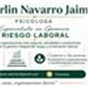 Organizacional manejo de talento humano