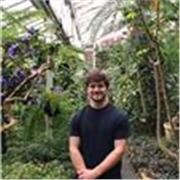 Estudiante universitario con Honores de carrera STEM en Utrecht University