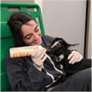 Biologiste de formation et vétérinaire étudiante, j'offre des cours de science du collège au lycée (dont BCPST) en ligne.