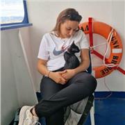 Profesora de primaria apta para dar clases de todas las materias hasta bachillerato.