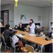 Skilled Teacher , i'm teaching arabic language to primary school students .