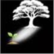 Prof de français au collège propose cours de français en ligne niveau: primaire/ collège/ lycée/ bac/ primo arrivant