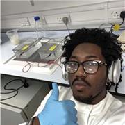 Maths and Science tutor. Masters student in Molecular Genetics, Bsc in Microbiology.