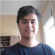 Profesor de Inglés escolar y universitario (Virtual o presencial en Viña del Mar)