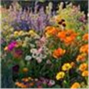 Aide aux devoirs et Cours particuliers (géopolitique/français/philosophie/anglais/mémoire/thèse/oral/rapport de stage)