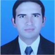 Profesor dinámico y flexible