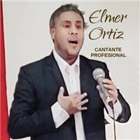 Clases particulares de canto a domicilio con el cantante Elmer Ortiz