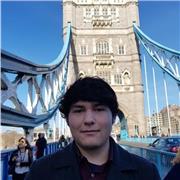 Clases particulares o grupales de inglés para enseñanza básica, media y universitaria. (Presencial y online)