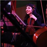 Lezioni di violino per allievi di tutte le età!
Un percorso musicale che sviluppa ascolto, disciplina e creatività.