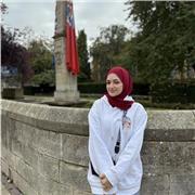 Online English lessons to adults, Northampton, studied English for more than 12 years, speaks the mother tongue