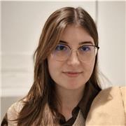 Offer maths lessons, online for students at any level