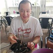 j'exerce mes cours de soutien et remise à niveau en classes de primaire, collège et lycée