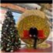 Ich verfüge über 6 Jahre Erfahrung im Unterrichten von Deutsch und verfüge außerdem über ein internationales Deutschzertifikat