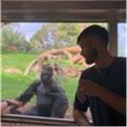 Soy una persona muy entusiasta, motivadora y con ganas de trabajar con niños y poder motivarles para que consigan sus logros