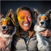 Docente italiano alfabetizzatore