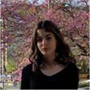 Profesora nativa de español, clases online