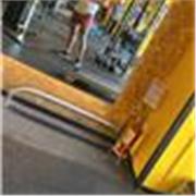 Entrenador personal a domicilio o gimnasio