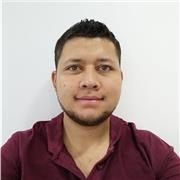 Profesor de ingeniería con énfasis matemáticas