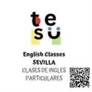 Clases de ingles particulares online o a domicilo