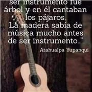 Profesor de guitarra principiante ay avanzados