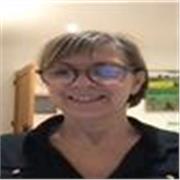 English Tutor - all ages and abilities