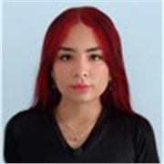 Profesor de preescolar y primaria , con énfasis en inglés y castellano