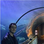 Clases de técnica vocal para aprender las bases y empezar tu camino en la música