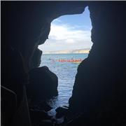 Traducteur/Professeur expérimenté