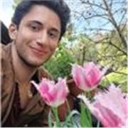 Insegnante madrelingua inglese e multilingue offre lezioni private online