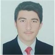 Math tutor who teaches mathematics to children of all ages and undergrad students 