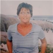 Profesora ingles doy clases online hasta nivel avanzado