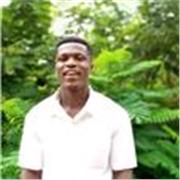 I give affordable mathematics lessons for free