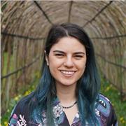 Englischnachhilfe für türkischsprachige Schüler und Erwachsene mit bilingualer Unterstützung.