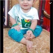 Sidra waris