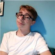 Very affordable History GCSE preparation levels