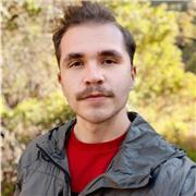 Tutor de matemáticas para universidad y colegio