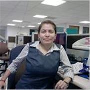 Dar clases de Inglés para niños y adultos