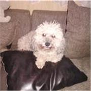 Profesor de Matemáticas, Fisica, Mecanica de fluidios, Resistencia de Materiales