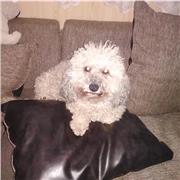 Profesor de Matemáticas, Fisica, Mecanica de fluidios, Resistencia de Materiales