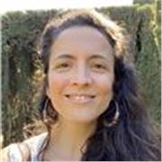 Clases particulares online hasta nivel universitario incluído