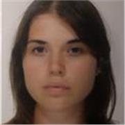 Docente di svariate discipline offre ripetizioni presenziali (se possibile) e online