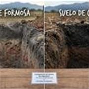 Clase de producción vegetal a nivel secundario