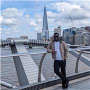 Comprehensive Web Development, Database Engineering, and Programming Education