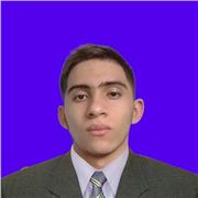 Profesor de informática y contaduria