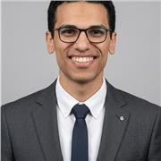 Math tutor for school, IB, SAT and AP levels (online lessons)