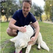 Profesor de básquetbol 🏀 dribbling, lanzamiento, defensa y estrategia