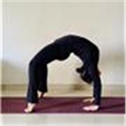Yoga tutor for learning basic to advanced asanas, flexible hours!