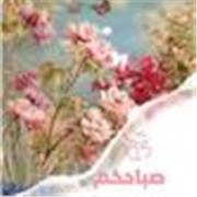 native female Arabic Teacher for non Arab students and Women 