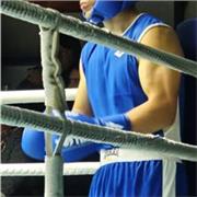 Profesor de boxeo con años de experiencia, especializado en técnica, preparación física y formación integral del deportista